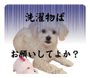 840999782