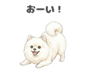 841001003