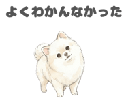 841001004
