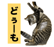 841001785