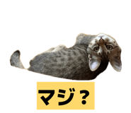 841001788