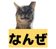 841001789
