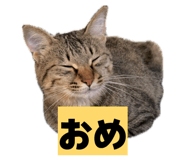 841001792