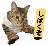 841001794