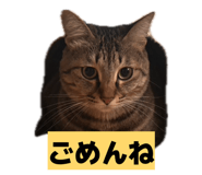 841001795