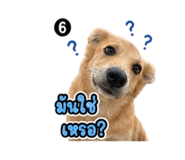 841003750