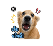841003754