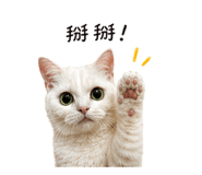 841006780