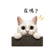 841006783