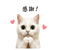 841006788