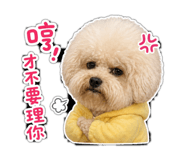 841007055