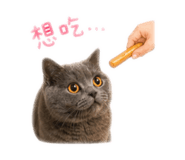 841007171