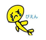 841007998