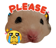 841008510