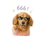 841010303
