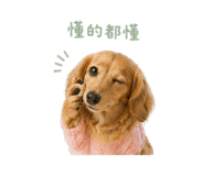 841010308