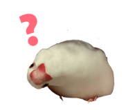 841011153