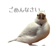 841011155