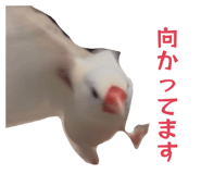 841011156