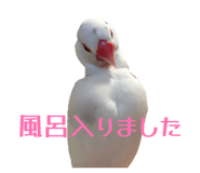 841011158