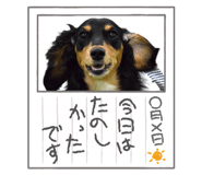 841011256