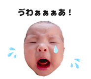841011513