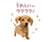 841011795