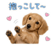 841011808