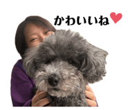 841011860