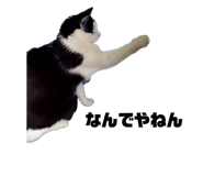 841011999