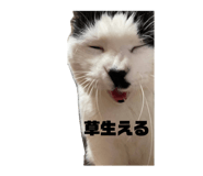 841012008