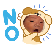 841012026