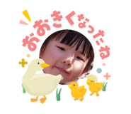 841012047