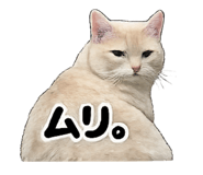 841012269