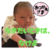 841012528