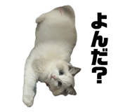841013140