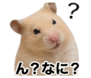 841013347