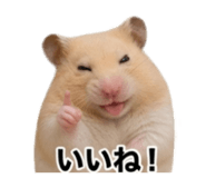 841013353