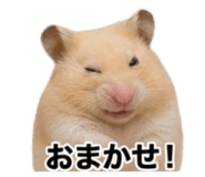 841013355