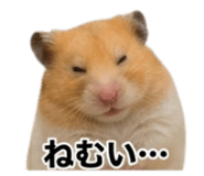 841013360