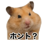 841013364