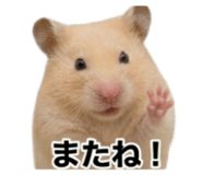 841013370