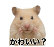 841013378