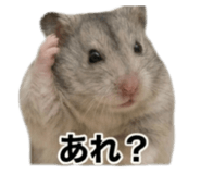 841013381