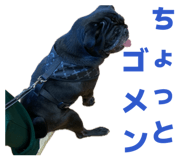 841013416