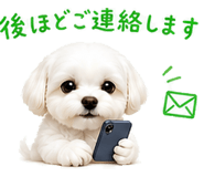 841013898