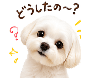 841014274