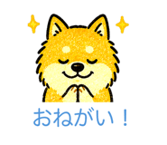 841014291