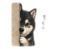 841014396