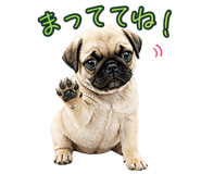 841014741